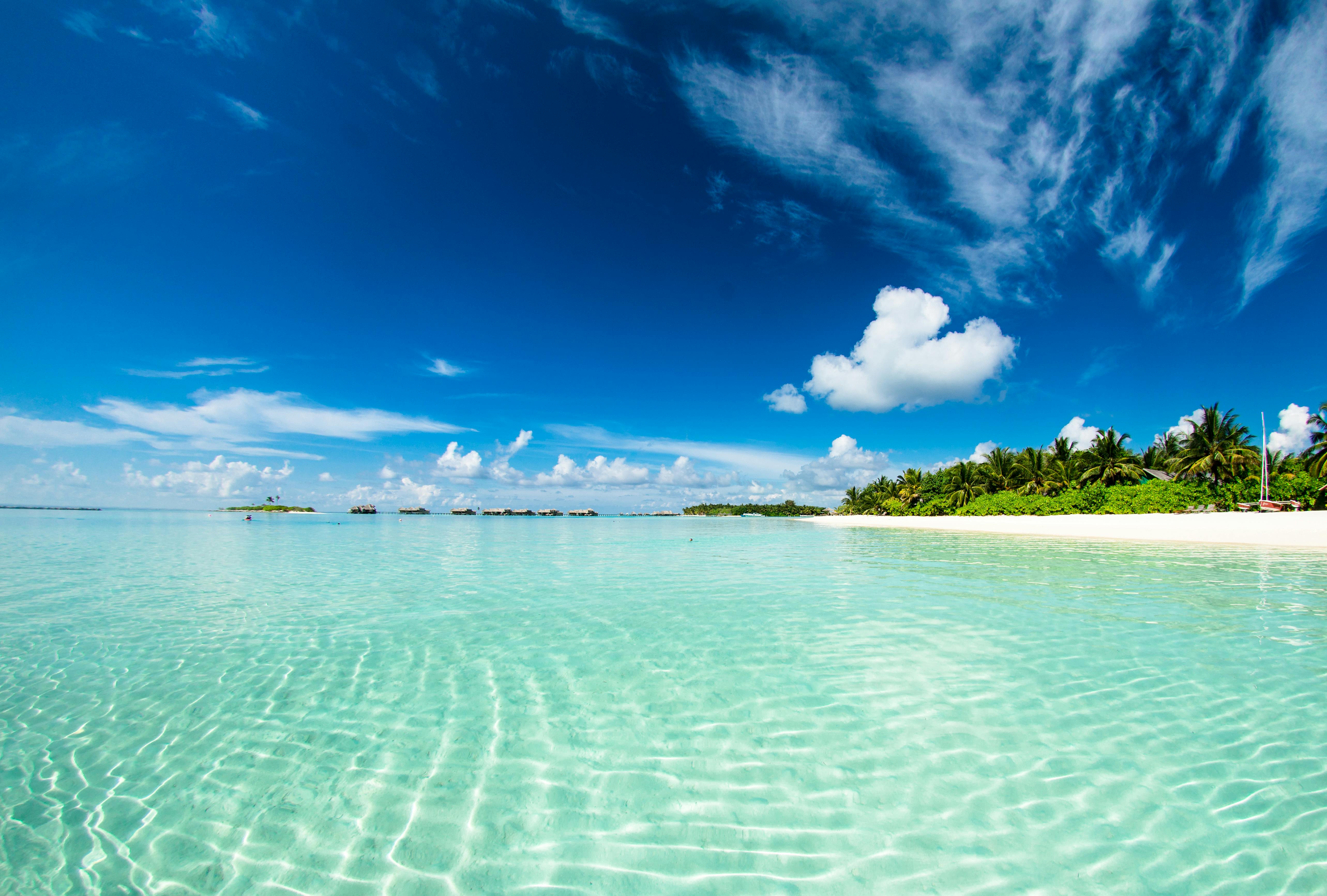 The Escape Journal: Travel, Wellness, and Adventure