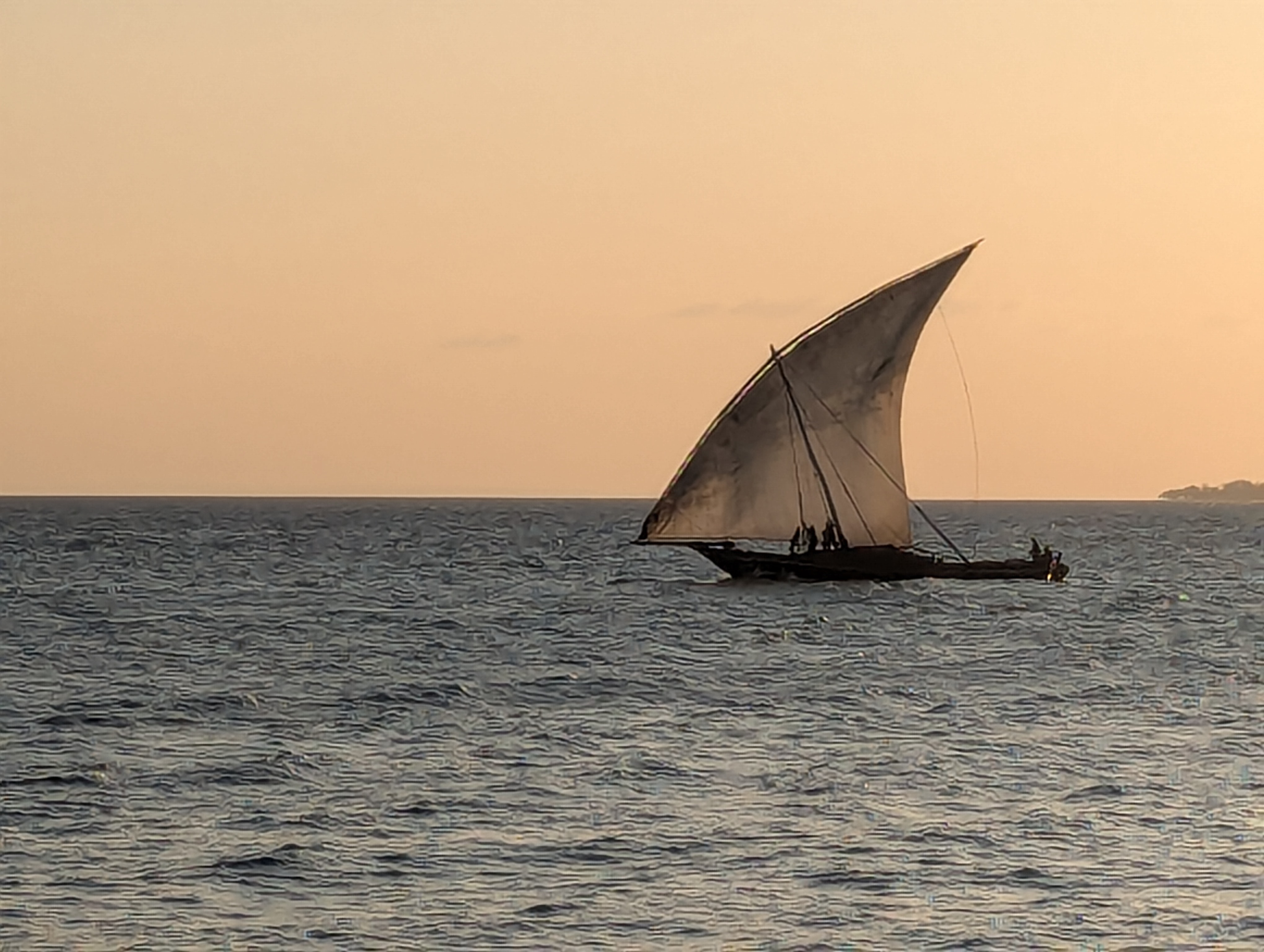 Sunset Cruise- The Story of Taarab Music